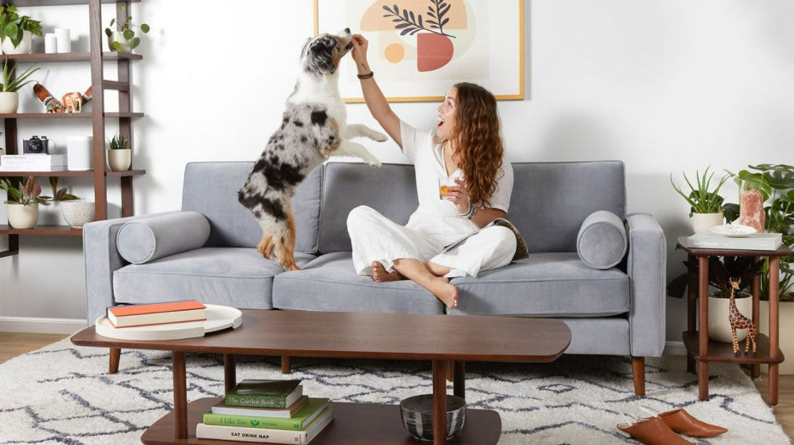 How to Choose a Modular Sofa That’s Safe for Pets