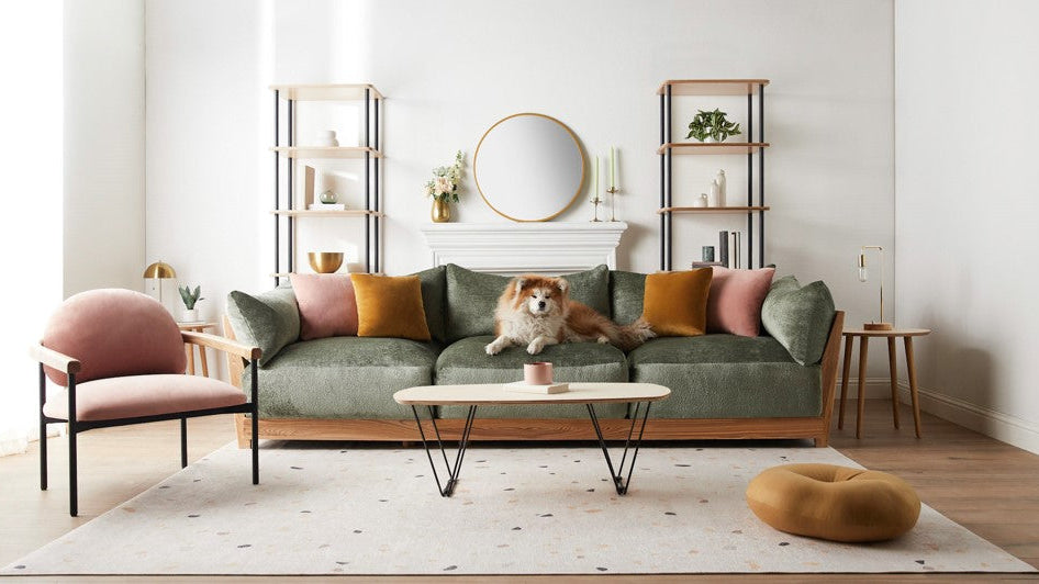 What Makes Performance Fabrics Perfect for Pet Owners?