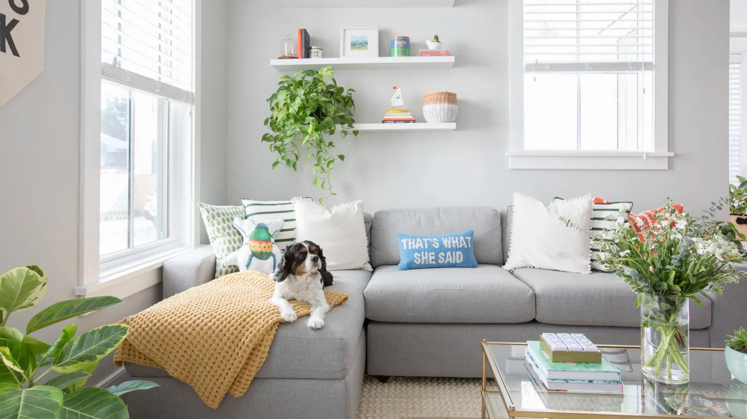 Budget-Friendly Pet-Safe Modular Sofas for Canadian Homes