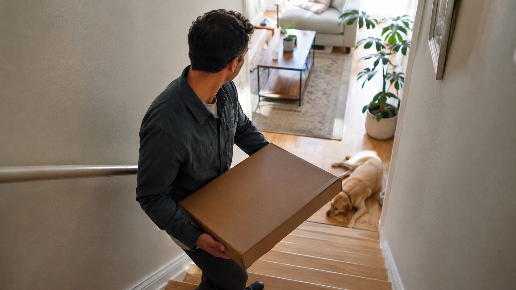 Will Your New Sofa Actually Fit Through the Door?