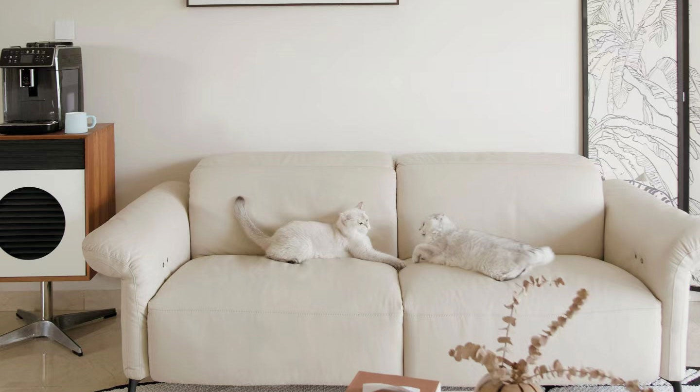 Self-Cleaning Sofa Fabrics: The Future of Upholstery Maintenance