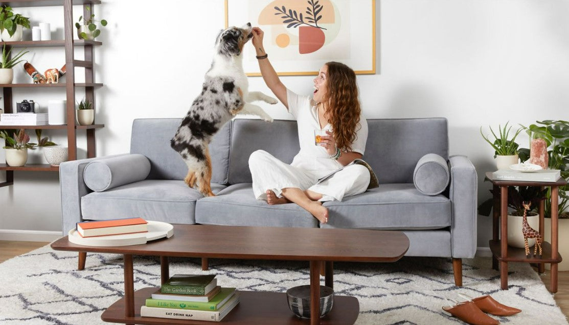 How to Choose a Modular Sofa That’s Safe for Pets