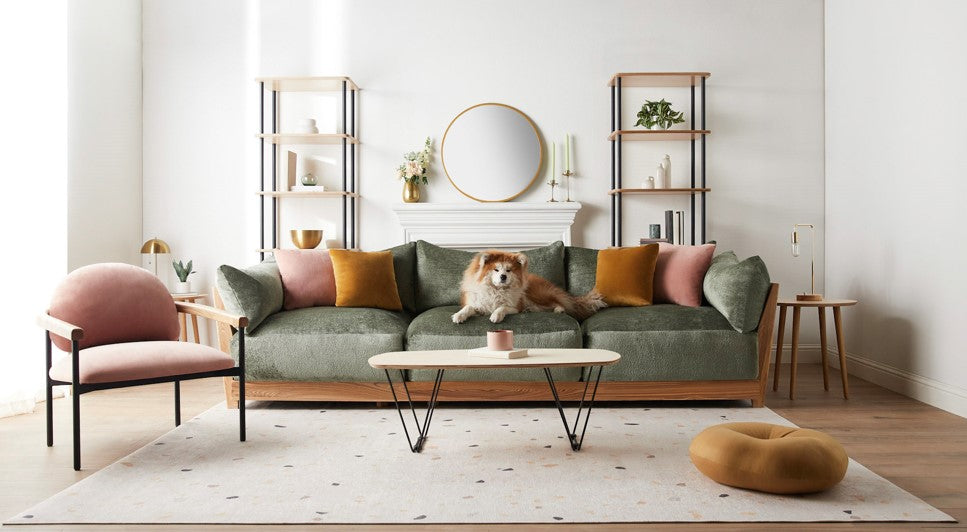 What Makes Performance Fabrics Perfect for Pet Owners?