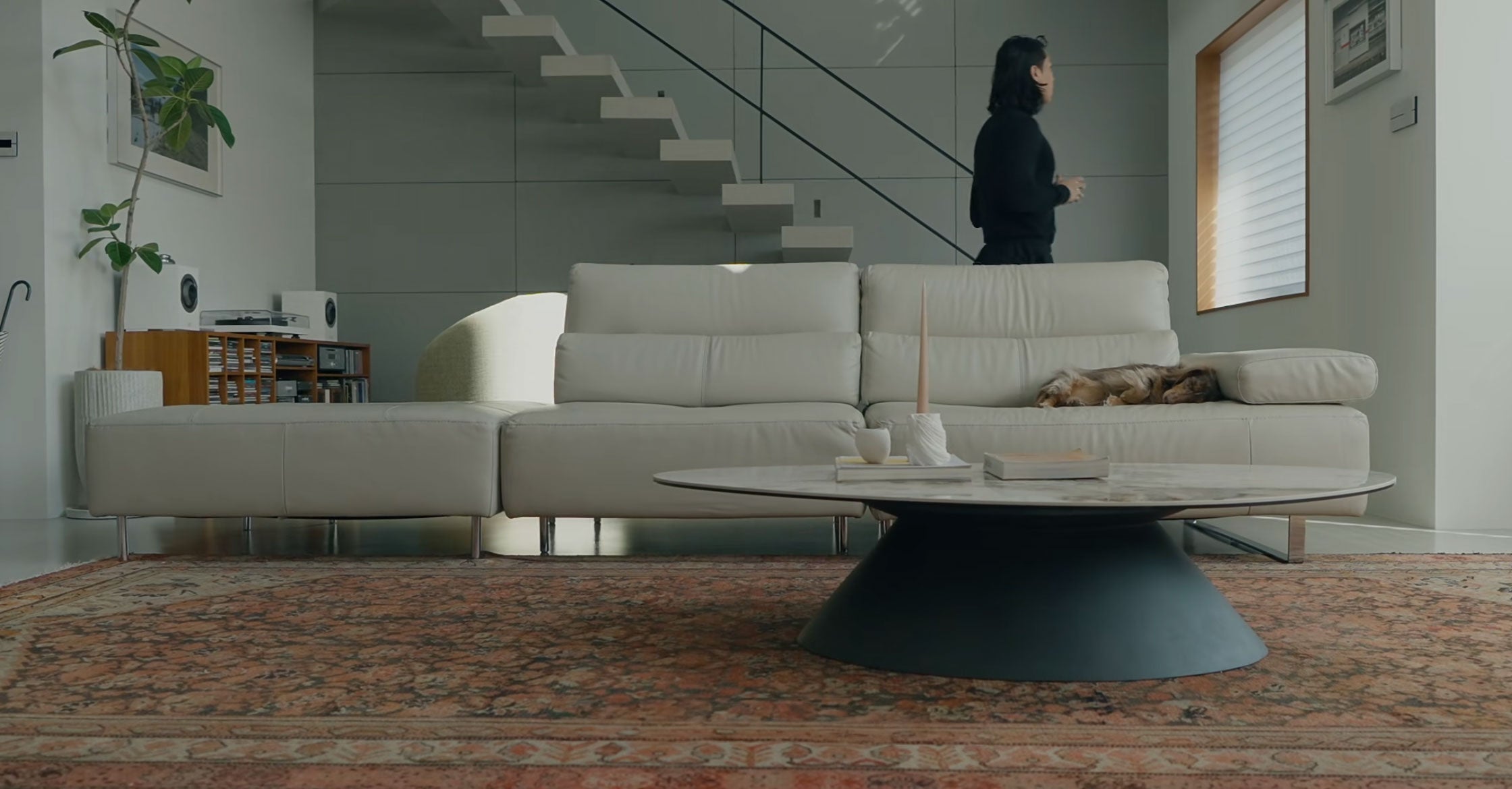 Top 24 Pet-Friendly Couches for Ultimate Comfort and Style